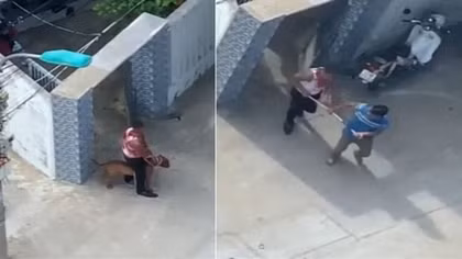 Bắt người đàn ông thả chó Pitbull cắn trọng thương hàng xóm