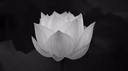 Đồng chí Thiếu tướng Bùi Minh Thứ từ trần
