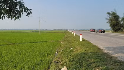 Thu hồi đất lúa rồi đấu giá cao "ngất ngưởng"