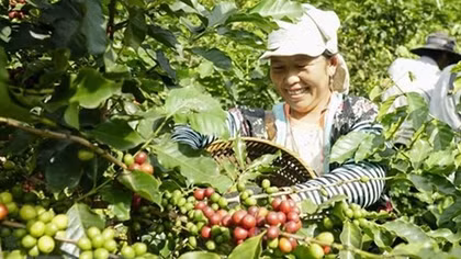 Truyền thông Thái Lan: Việt Nam là điểm sáng của kinh tế thế giới