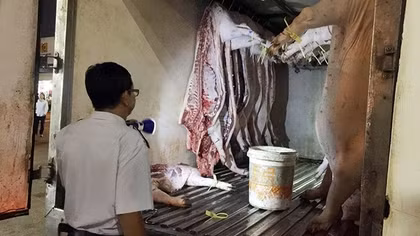 Phát hiện nhiều cơ sở kinh doanh vi phạm về an toàn vệ sinh thực phẩm