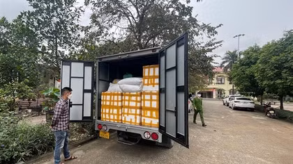 1,5 tấn sản phẩm động vật đông lạnh không giấy tờ kiểm dịch bị tạm giữ