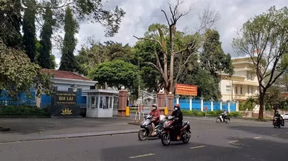 Cho thôi chức vụ 3 Phó Chủ tịch UBND tỉnh Gia Lai