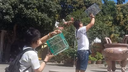 Để hoạt động phóng sinh thật sự có ý nghĩa