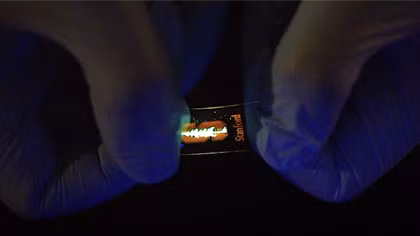 Màn hình LED co giãn như cao su