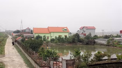 Bí ẩn bãi cọc gỗ bên dòng sông Thương