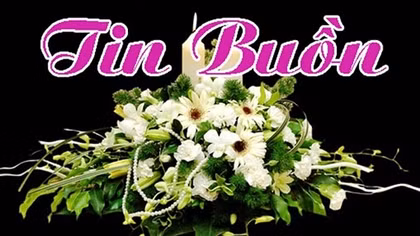 Tin buồn: Thượng tá Đỗ Thúy Dinh từ trần
