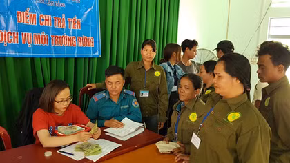 Dấu ấn trong thực hiện chi trả dịch vụ môi trường rừng ở Lâm Đồng