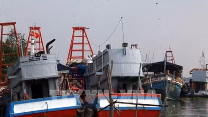 Nhiều chủ tàu cho phương tiện nằm bờ