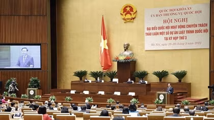 Phát huy vai trò then chốt và kiến thức chuyên sâu để góp ý vào 4 dự án luật