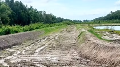 Chủ đầu tư lên tiếng về ồn ào quanh dự án Sân đua bò tại Rừng tràm Trà Sư