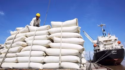 Gia tăng xuất khẩu gạo sang thị trường ASEAN