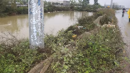 Đôi nam nữ thương vong, nghi tự tông xe vào cột điện