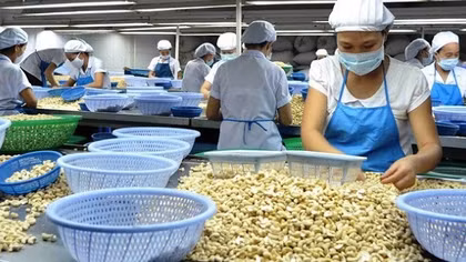 Thu nhập bình quân đầu người giảm năm thứ 3 liên tiếp