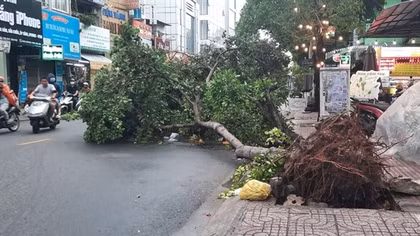 TP Hồ Chí Minh: Một số khu vực xuất hiện mưa đá lúc giữa trưa