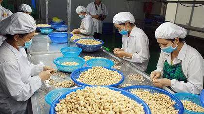 Hỗ trợ mạnh mẽ cho doanh nghiệp xuất khẩu