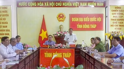 Vì sao chưa thực hiện Nghị định cho phép cá cược thể thao, đua chó, ngựa?