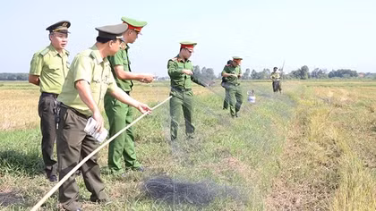 Ngăn chặn nạn tận diệt chim trời