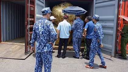 Làm rõ vụ “phù phép” 848 tấn quặng nhưng vẫn được áp dụng chính sách miễn, giảm thuế