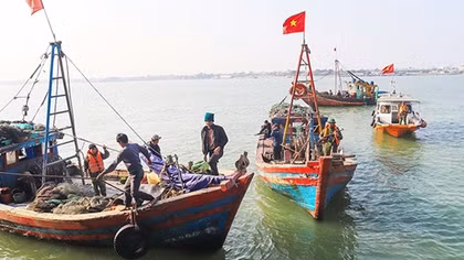 Đấu tranh với nạn giã cào trên biển