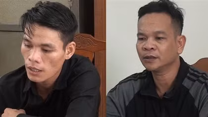 Dùng ôtô "đi săn" 54 con bò của người dân