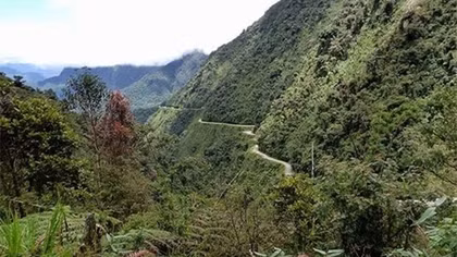 Cuộc săn lùng trong đêm trừ tịch