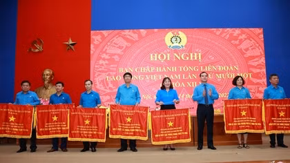 Triển khai nhiều giải pháp bảo vệ quyền lợi cho hàng chục triệu công nhân lao động