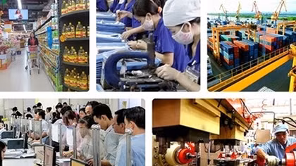Kiều bào hiến kế phát triển kinh tế sau đại dịch COVID-19