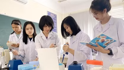 6 cơ sở giáo dục đại học Việt Nam vào bảng xếp hạng đại học thế giới