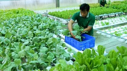 Cảnh báo lừa đảo lao động đi làm việc thời vụ tại Hàn Quốc