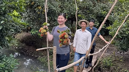 Du lịch sông nước hút khách tham quan