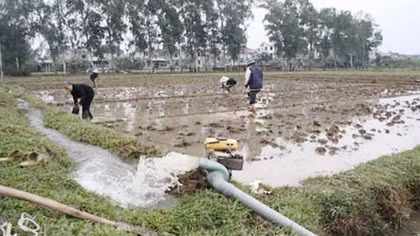 Phòng, chống hạn hán, bảo đảm nguồn nước sản xuất vụ Đông-Xuân