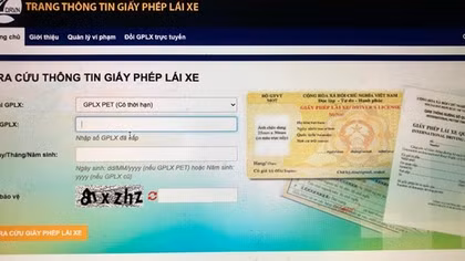 Đề nghị xử lý các trang tra cứu thông tin giấy phép lái xe giả