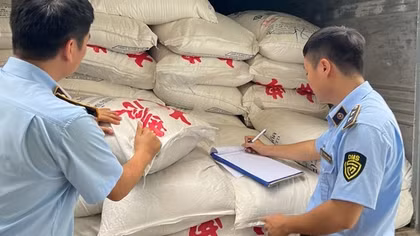 Thu giữ hơn 7 tấn đường không có giấy tờ hợp pháp
