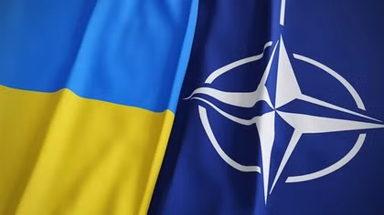Chín thành viên NATO tuyên bố ủng hộ Ukraine gia nhập khối