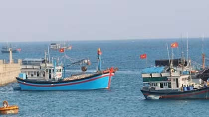 Điều tra, xử lý nghiêm tổ chức, cá nhân môi giới đưa tàu cá, ngư dân khai thác hải sản trái phép