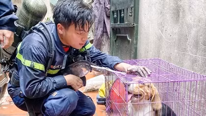 Những trái tim quả cảm sẽ còn đập mãi...