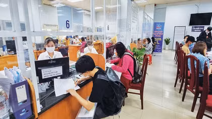 Kiểm soát hàng hóa để xuất khẩu vào thị trường khó tính
