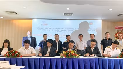 Chỉ có 7% tờ khai hải quan của doanh nghiệp thông qua đại lý