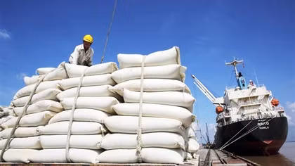 Bộ Ngoại giao nói gì trước tin đồn Việt Nam sẽ tăng giá gạo xuất khẩu?