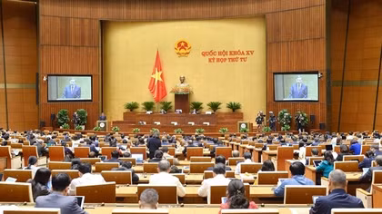 100% tiền thu từ đấu giá biển số sẽ nộp ngân sách Nhà nước