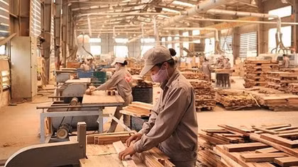 Doanh nghiệp ngành gỗ đối mặt với nhiều sức ép