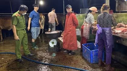 Đình chỉ hoạt động 4 cơ sở giết mổ tại Quảng Nam