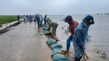 Giúp dân đắp đê ngăn lũ trái mùa cứu lúa