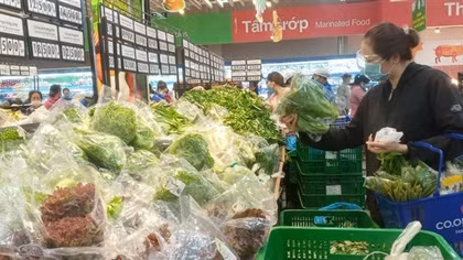 TP Hồ Chí Minh vào cuộc kiểm tra rau đạt chuẩn VietGAP dởm