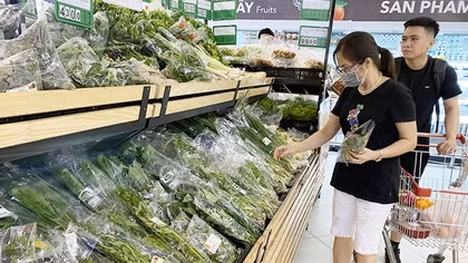 Nhộm nhoạm thị trường rau an toàn: Rau bán trong siêu thị, có thật là rau sạch? (Bài 1)