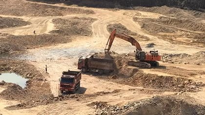 Xử phạt doanh nghiệp lấn chiếm đất rừng sản xuất