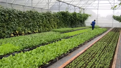 Gỡ điểm nghẽn cho tín dụng xanh hướng tới phát triển bền vững
