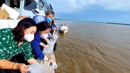 Thả 4,3 triệu con tôm, cua giống ra biển
