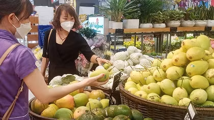 Xuất khẩu sang thị trường Trung Quốc, nhìn từ trái xoài